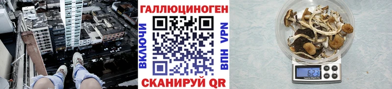 Псилоцибиновые грибы MAGIC MUSHROOMS Железногорск