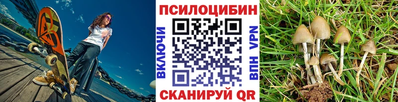 площадка как зайти  Железногорск  Псилоцибиновые грибы мицелий  blacksprut  